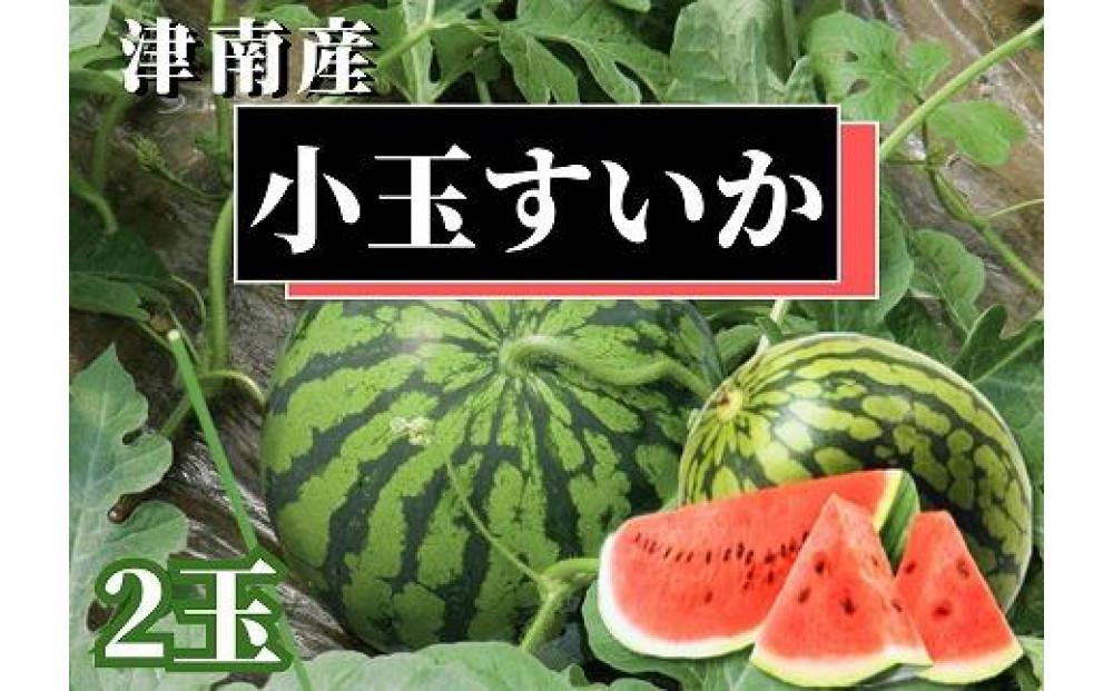 [令和8年産 先行予約]小玉スイカ 2玉