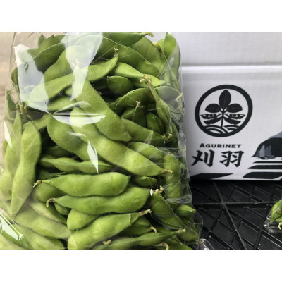 新潟県刈羽村産　中生茶豆3kg(500g×6パック)【配送不可地域：離島・北海道・沖縄県】