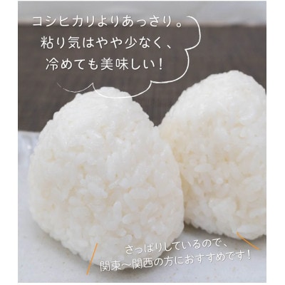 【新潟県早生品種】【無洗米】刈羽村産こしいぶき 10kg(5kg×2袋)