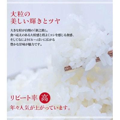 【新潟ブランド米】【玄米】刈羽村産新之助 10kg(5kg×2袋)