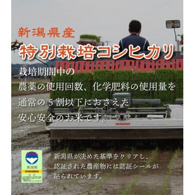 【新潟特別栽培米】【玄米】刈羽村産コシヒカリ 5kg