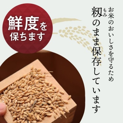 JAS認証 有機栽培米  精米 5kg 新潟県産 コシヒカリ