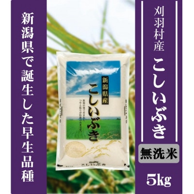 【新潟県早生品種】【無洗米】刈羽村産こしいぶき 5kg