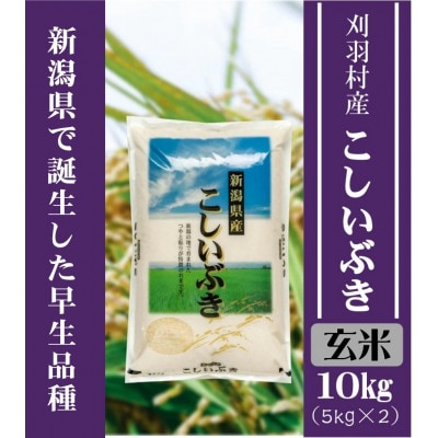 【新潟県早生品種】【玄米】刈羽村産こしいぶき 10kg(5kg×2袋)