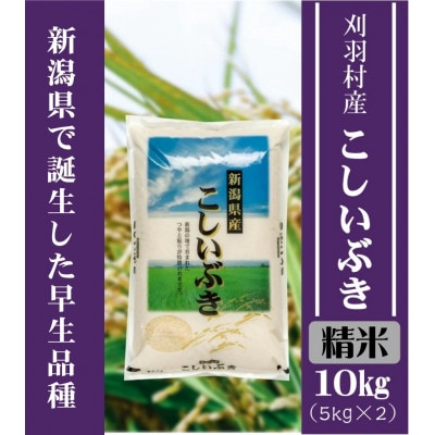 【新潟県早生品種】【精米】刈羽村産こしいぶき 10kg(5kg×2袋)