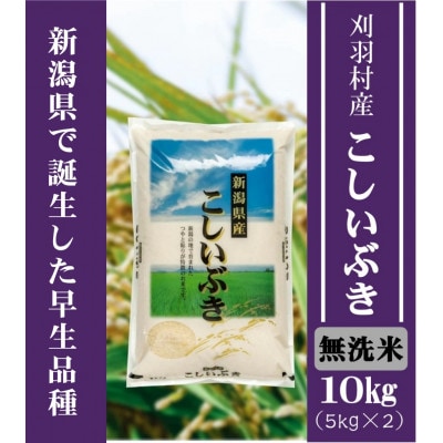 【新潟県早生品種】【無洗米】刈羽村産こしいぶき 10kg(5kg×2袋)