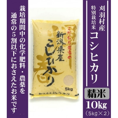 【新潟特別栽培米】【精米】刈羽村産コシヒカリ 10kg(5kg×2袋)