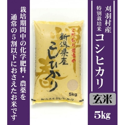 【新潟特別栽培米】【玄米】刈羽村産コシヒカリ 5kg