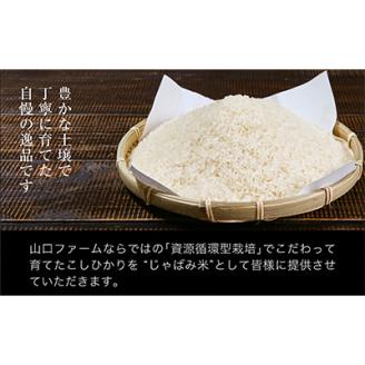 ふっくら食感!R7年産 関川村産コシヒカリ6kg(3kg×2) 丁寧に育てた贅沢米 [山口ファーム]