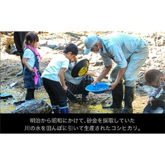 R7年産 秘境の地の砂金米 岩船産コシヒカリ 精米6kg(2kg×3袋)