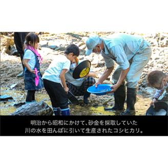 秘境の地で生産 砂金米 こがねもち精米2kg