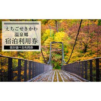 選ばれる温泉体験 3,000円分の温泉宿泊利用券