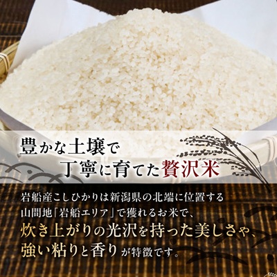 ふっくら食感!R7年産 関川村産コシヒカリ6kg(3kg×2) 丁寧に育てた贅沢米 [山口ファーム]