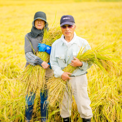 R7年産土作りからこだわった岩船産コシヒカリ精米6kg(2kg×3袋)[用助商店]