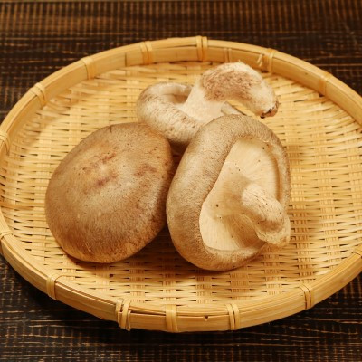 育てて楽しい!あらかわ生しいたけ菌床ホダ木 2セット