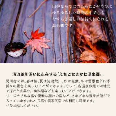 選ばれる温泉体験 18,000円分の温泉宿泊利用券