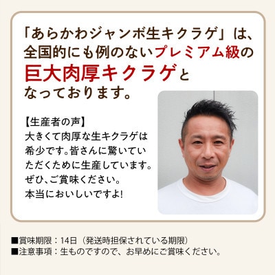 肉厚でプレミアムジャンボ!あらかわ生しいたけ＆生キクラゲセット【配送不可地域：離島】