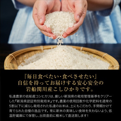 【毎月定期便】関川村産こしひかり6kg(2kg×3袋)ふっくら美味しさ 岩船米 [横山農産]全12回