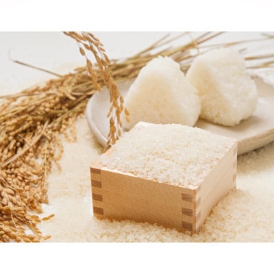 【毎月定期便】炊きたてつやつや 新潟関川村産 岩船米こしひかり精米 5kg [星山米店]全3回