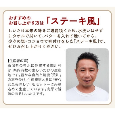 【毎月定期便】肉厚!あらかわ生しいたけ特選プレミアム全12回【配送不可地域：離島】