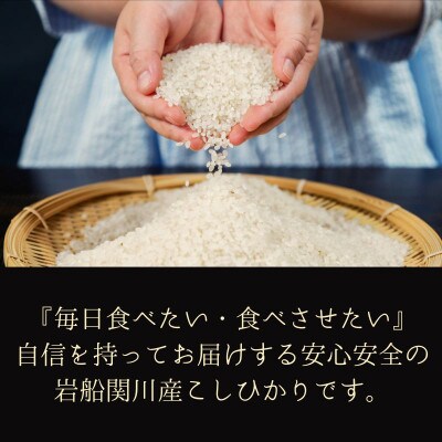 【毎月定期便】関川村産こしひかり5kg ふっくら美味しさ 岩船米 [横山農産]全3回