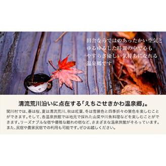 選ばれる温泉体験 3,000円分の温泉宿泊利用券