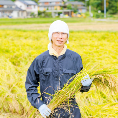 ふっくら食感!R7年産 関川村産コシヒカリ6kg(3kg×2) 丁寧に育てた贅沢米 [山口ファーム]