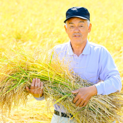 R7年産 秘境の地の砂金米 岩船産コシヒカリ 精米6kg(2kg×3袋)