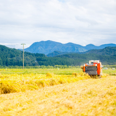 R7年産土作りからこだわった岩船産コシヒカリ精米6kg(2kg×3袋)[用助商店]