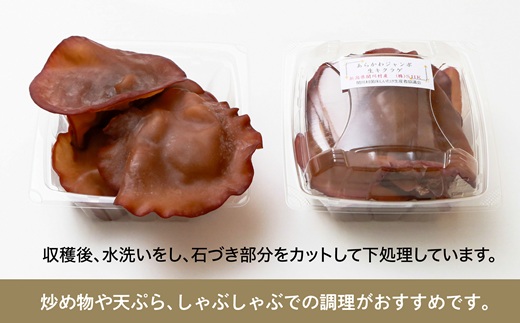 あらかわプレミアムジャンボ生キクラゲ220g×2パック【配送不可地域：離島】