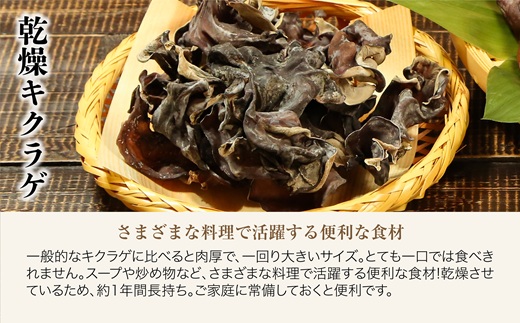 あらかわキクラゲ生・乾燥セット(生キクラゲ220g×2パック・乾燥キクラゲ30g×2パック)【配送不可地域：離島】