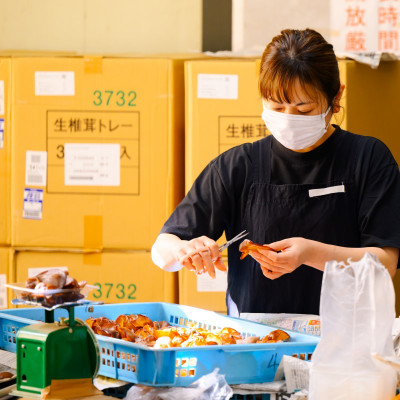 あらかわキクラゲ乾燥セット(乾燥キクラゲ30g×2パック・60g×2パック)