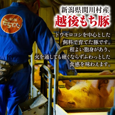 [小分けパックがうれしい] 越後もち豚肩ロース肉(しゃぶしゃぶ用) 合計900g【配送不可地域：離島】