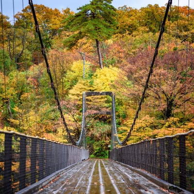 選ばれる温泉体験 24,000円分の温泉宿泊利用券