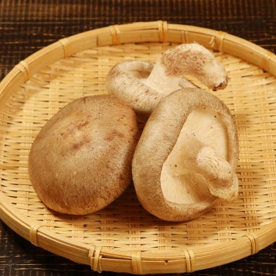 肉厚でプレミアムジャンボ!あらかわ生しいたけ＆生キクラゲセット【配送不可地域：離島】