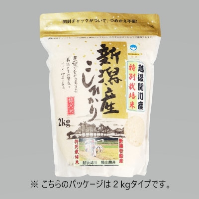 【毎月定期便】関川村産こしひかり5kg ふっくら美味しさ 岩船米 [横山農産]全6回