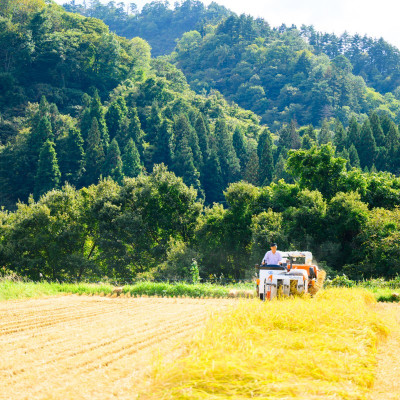R7年産 秘境の地の砂金米 岩船産コシヒカリ 精米6kg(2kg×3袋)