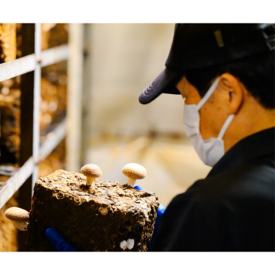 肉厚、やわらか!あらかわ生しいたけ大プレミアム【配送不可地域：離島】