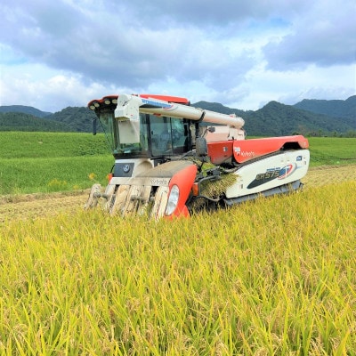 炊きたてつやつや R7年産 新潟関川村産 岩船米こしひかり 精米5kg [星山米店]