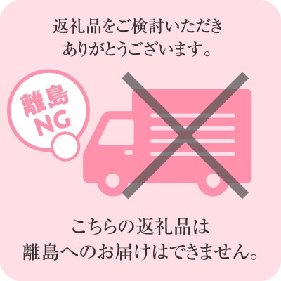 【3切×2パック】鮭の味噌漬け(6切れ)【配送不可地域：離島】