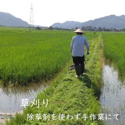 R7年産 [極上]安心こだわり米 岩船産コシヒカリ精米3kg(3kg×1袋)[百姓屋]