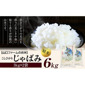 ふっくら食感!R7年産 関川村産コシヒカリ6kg(3kg×2) 丁寧に育てた贅沢米 [山口ファーム]