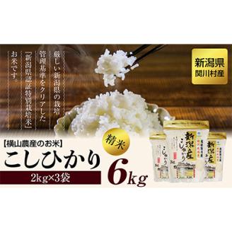 R7年産 関川村産こしひかり 精米6kg(2kg×3袋) ふっくら美味しさ 岩船米 [横山農産]