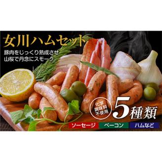 絶品女川ハム＆ソーセージ!伝統の味をご家庭で【配送不可地域：離島】