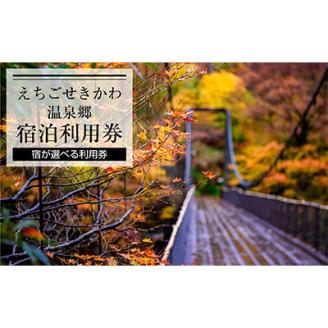 選ばれる温泉体験 9000円分の温泉宿泊利用券