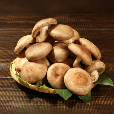 肉厚、やわらか!あらかわ生しいたけ大プレミアム【配送不可地域：離島】