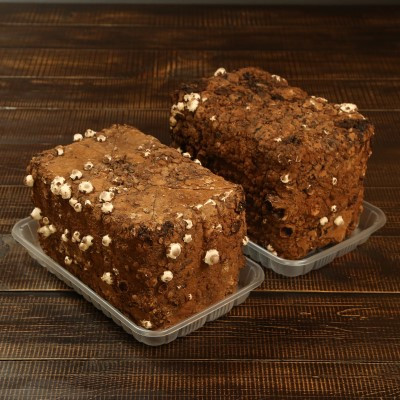 育てて楽しい!あらかわ生しいたけ菌床ホダ木 2セット