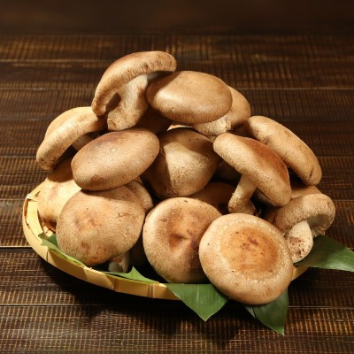 あらかわ生しいたけ　大したもんじゃセット(生しいたけ、乾燥しいたけミンチ、乾燥キクラゲ)【配送不可地域：離島】