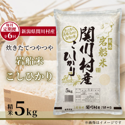 【毎月定期便】炊きたてつやつや 新潟関川村産 岩船米こしひかり　精米 5kg [星山米店]全6回