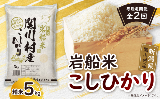 【毎月定期便】炊きたてつやつや 新潟関川村産 岩船米こしひかり精米 5kg [星山米店]全2回